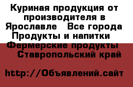 Куриная продукция от производителя в Ярославле - Все города Продукты и напитки » Фермерские продукты   . Ставропольский край